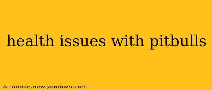 health issues with pitbulls