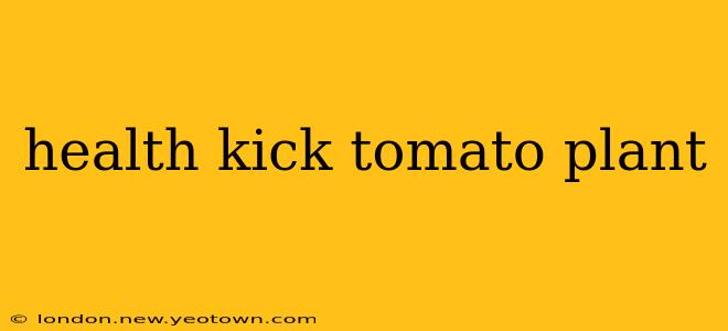 health kick tomato plant