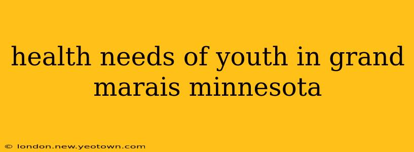 health needs of youth in grand marais minnesota