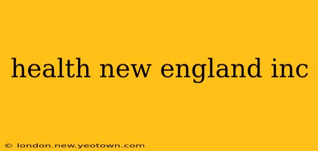 health new england inc