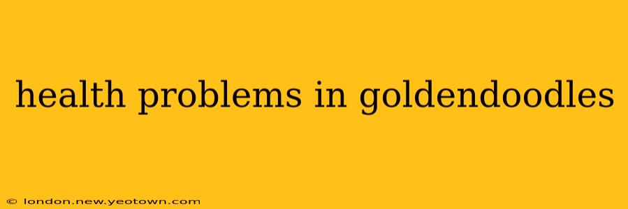 health problems in goldendoodles