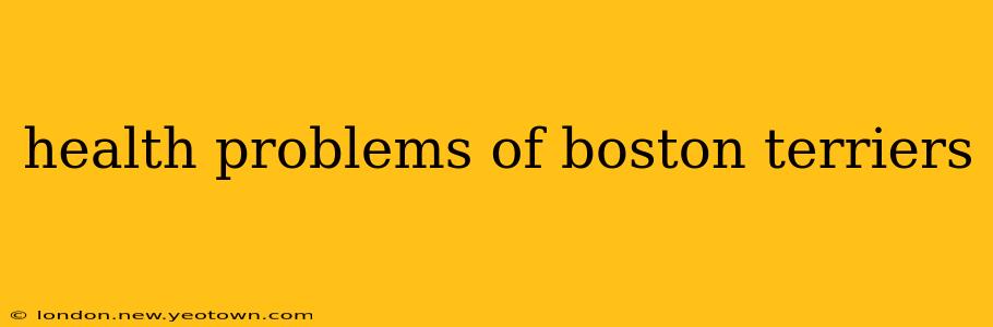 health problems of boston terriers