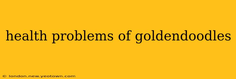 health problems of goldendoodles
