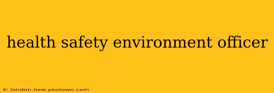 health safety environment officer