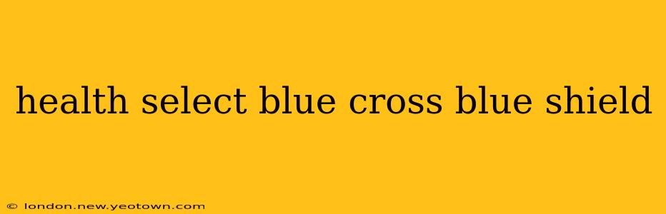 health select blue cross blue shield
