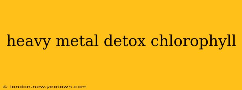 heavy metal detox chlorophyll