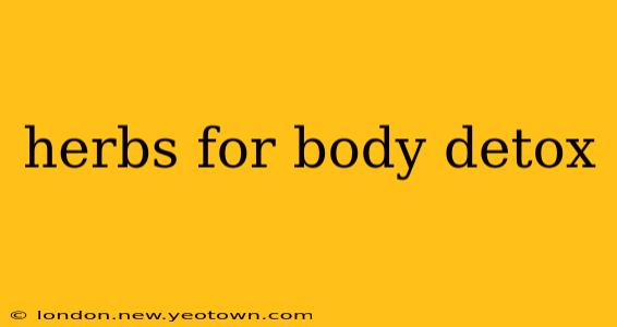 herbs for body detox