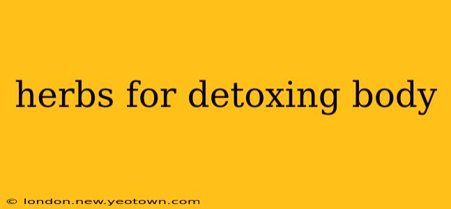 herbs for detoxing body