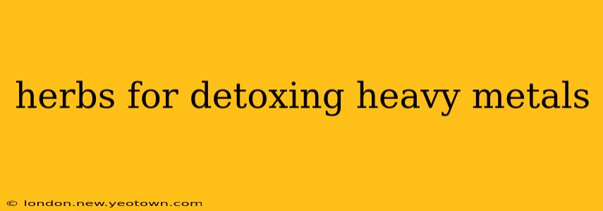 herbs for detoxing heavy metals