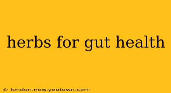 herbs for gut health