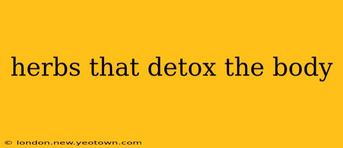 herbs that detox the body