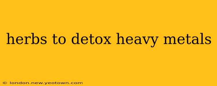 herbs to detox heavy metals