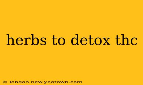 herbs to detox thc