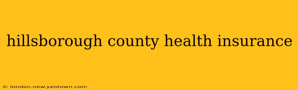 hillsborough county health insurance