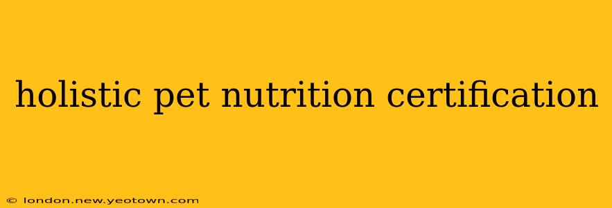 holistic pet nutrition certification