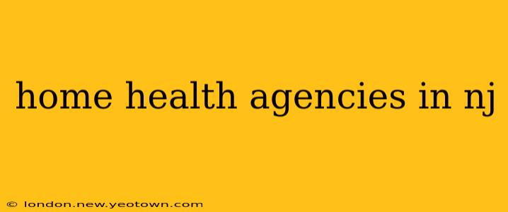 home health agencies in nj