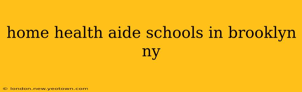 home health aide schools in brooklyn ny
