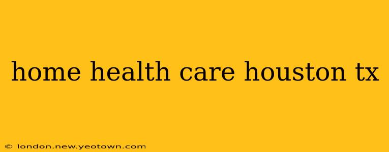 home health care houston tx