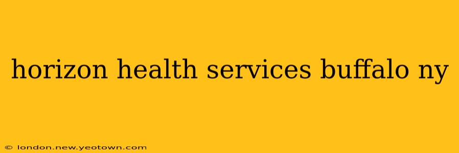 horizon health services buffalo ny