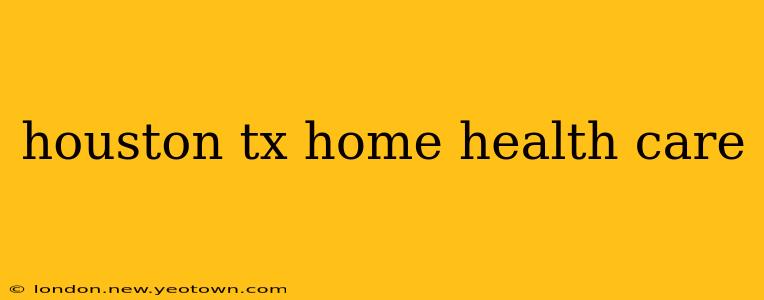 houston tx home health care