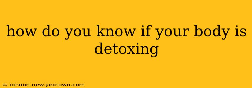 how do you know if your body is detoxing
