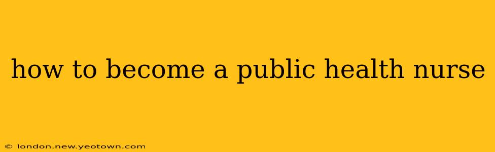 how to become a public health nurse