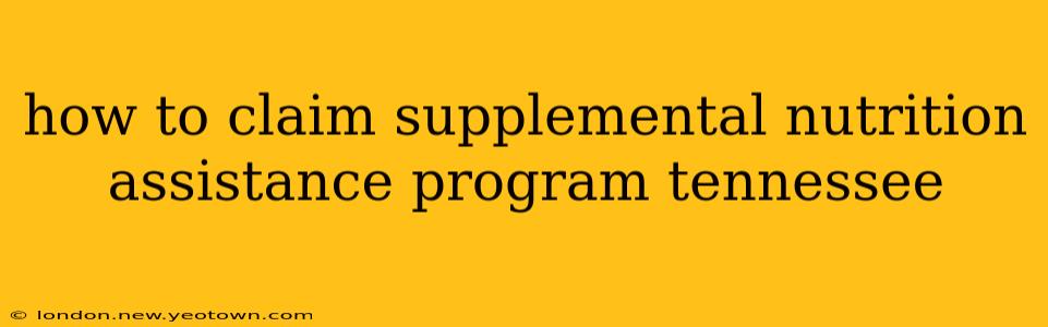how to claim supplemental nutrition assistance program tennessee