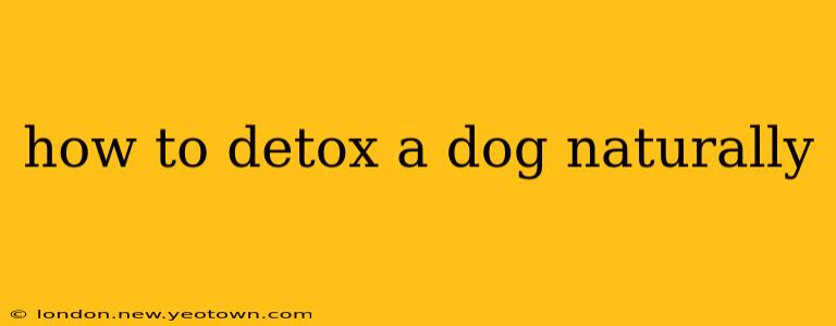 how to detox a dog naturally