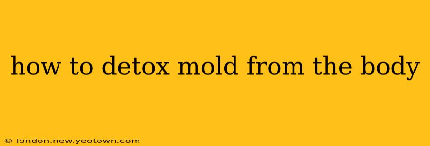 how to detox mold from the body