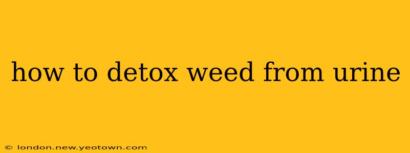 how to detox weed from urine
