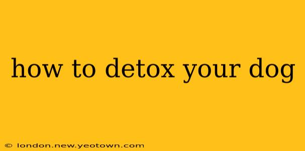 how to detox your dog