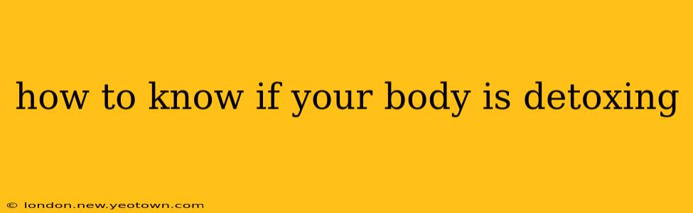 how to know if your body is detoxing