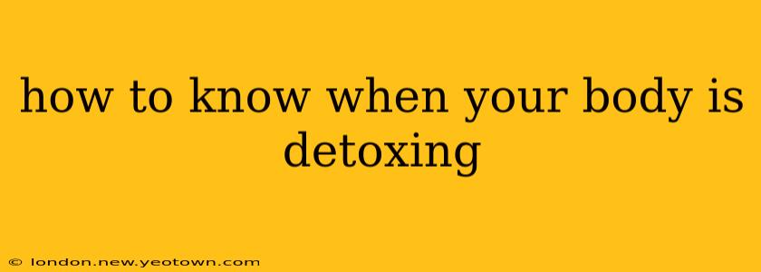 how to know when your body is detoxing