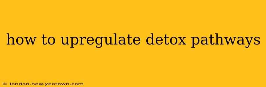 how to upregulate detox pathways