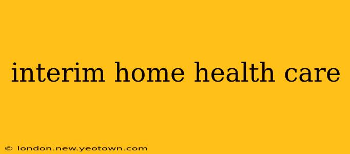 interim home health care