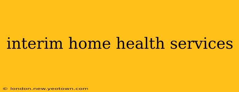 interim home health services