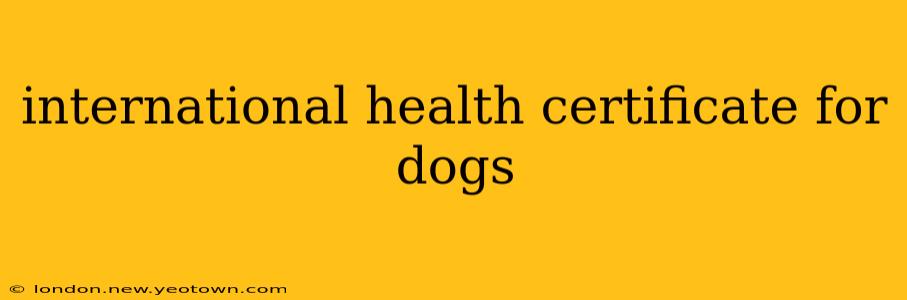 international health certificate for dogs