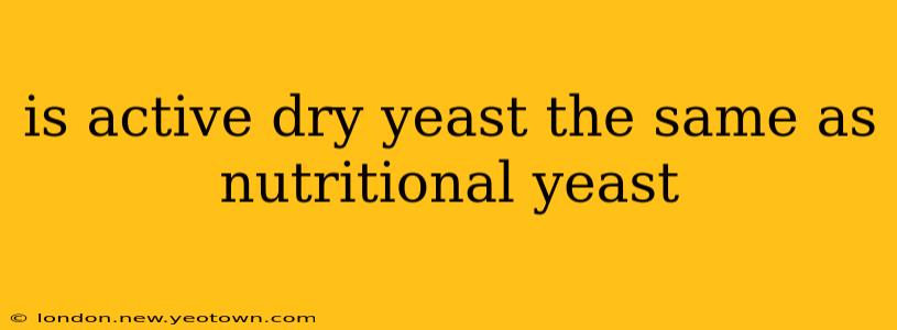 is active dry yeast the same as nutritional yeast
