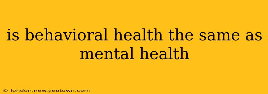 is behavioral health the same as mental health