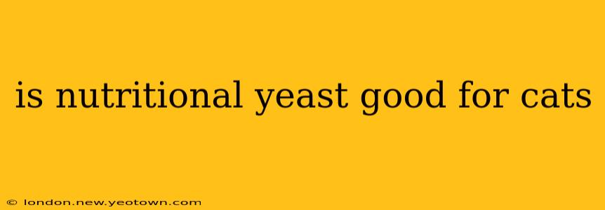 is nutritional yeast good for cats