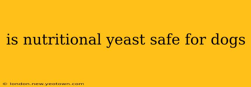 is nutritional yeast safe for dogs