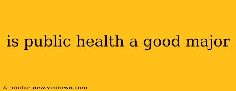 is public health a good major