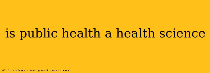 is public health a health science