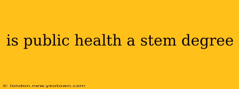 is public health a stem degree