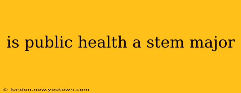 is public health a stem major