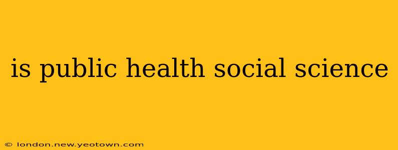 is public health social science