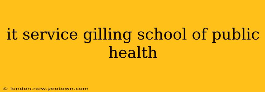 it service gilling school of public health