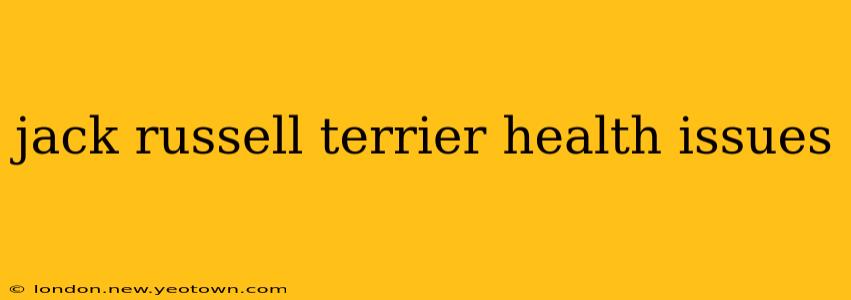 jack russell terrier health issues