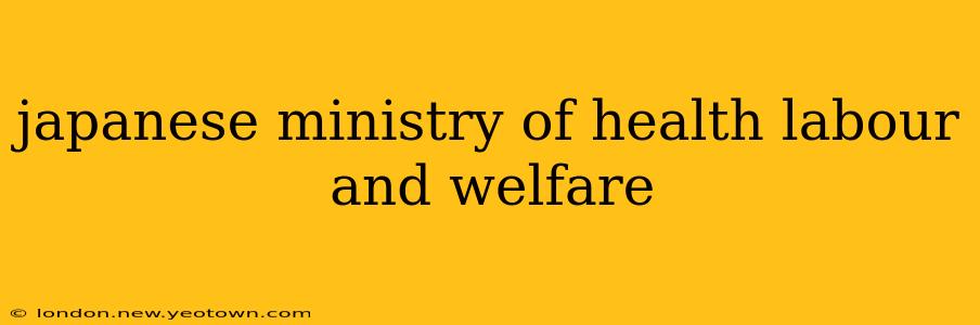 japanese ministry of health labour and welfare