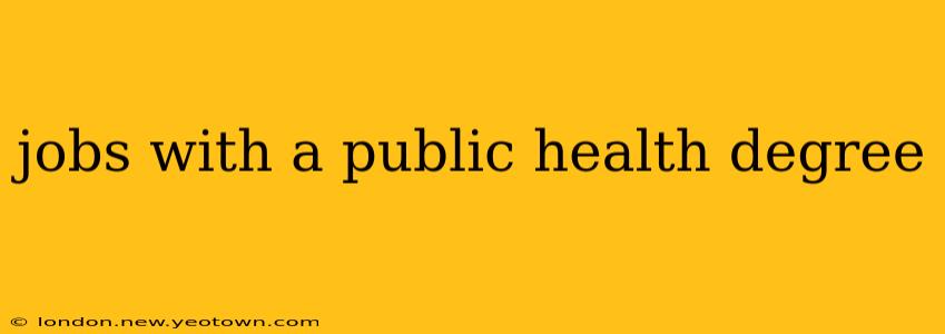 jobs with a public health degree